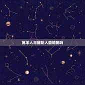 属羊人与属蛇人能婚配吗，属羊的和属蛇的人能成为一对夫妻吗