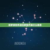 塔罗牌世界正位爱情代表什么意思，塔罗牌世界正位爱情代表什么意思呢