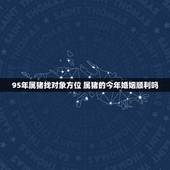 95年属猪找对象方位 属猪的今年婚姻顺利吗