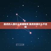 属虎的人跟什么属相相克 属虎的跟什么不合财
