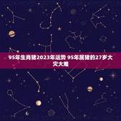 95年生肖猪2023年运势 95年属猪的27岁大灾大难