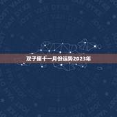 双子座十一月份运势2023年，双子座2023年的学习运势