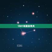 1981年属会克夫，1981年属人的命运