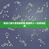 都说十猪九苦是真的吗 属猪的人一生命运怎样