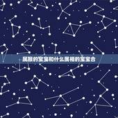 属猴的宝宝和什么属相的宝宝合，属猴和属鼠生什么属相宝宝更好？