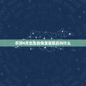 农历4月出生的兔宝宝取名叫什么(寓意吉祥的名字推荐)
