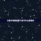 父属牛母属鼠要个孩子什么属相好，母亲属鼠属牛生个什么生肖的孩子好？