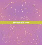 属羊狗年运势2023