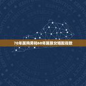 70年属狗男和68年属猴女婚配指数，男属猴和女属狗相配吗