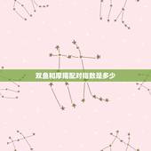 双鱼和摩羯配对指数是多少，双子座和水瓶座的配对指数是多少