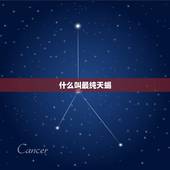 什么叫最纯天蝎，天蝎座和天蝎座配吗