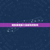 婚配属相表大全鼠和虎配吗，属鼠的生肖和属虎的生肖相配吗？