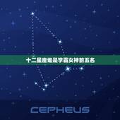 十二星座谁是学霸女神前五名，天生学霸星座