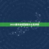 2023属牛的宝宝取什么名字好，2023牛年宝最佳取名