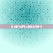 属猪的和属马的属相能同居吗，属猪的和属马的就不能结婚吗？