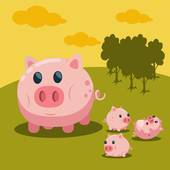 2008属猪今年几岁了(猪年人的年龄计算方法)