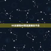 95女猪和00男龙属相合不合，95年的猪和2000年的龙结婚怎么样