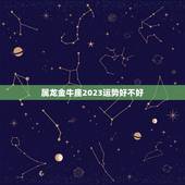 属龙金牛座2023运势好不好，2023年属蛇人的运势