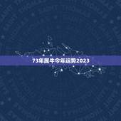 73年属牛今年运势2023，73年属牛2023年下半年运势