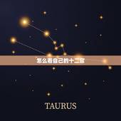 怎么看自己的十二宫，如何查询自己的命盘十二宫