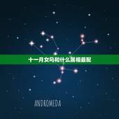 十一月女马和什么属相最配，属马和什么属相最配