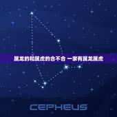 属龙的和属虎的合不合 一家有属龙属虎