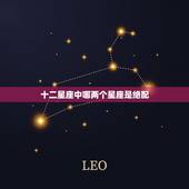 十二星座中哪两个星座是绝配，天秤座的十大缺点