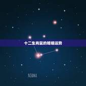 十二生肖鼠的婚姻运势，十二生肖2023年鼠年运势及运程