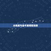 水瓶座与金牛座婚配指数，水瓶座与金牛座配对指数多少？在一起会幸福吗？