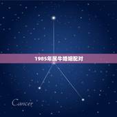 1985年属牛婚姻配对，85年男和85年女都属牛相配吗？