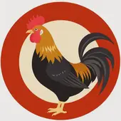 属鸡的最佳婚配属相表大全男，81年属鸡的属相婚配表