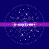 属牛的男孩名字最佳字 属牛男孩最吉利的名字