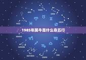 1985年属牛是什么命五行，85年属牛五行什么命