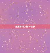 龙鱼配什么鱼一起养，混养须知：这几种鱼和龙鱼一起混养效果绝佳，你知道有