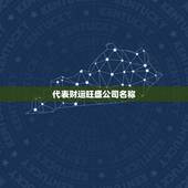 代表财运旺盛公司名称，带财运的公司名字