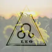 狮子座情感避雷指南：3大星座配对深度解析