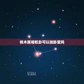 桃木属相乾卦可以挂卧室吗，桃木枝子放在卧室里有什么作用