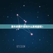 属牛的男不易和什么属相婚配，女人生肖属牛和什么生肖婚配最好