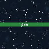 哪个星座最珍惜水瓶女(星座大介绍)