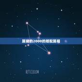 属猪的2000的婚配属相，属相婚配表之属猪的和什么属相最配