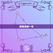 属猪是哪一年，属猪的是哪年出生？