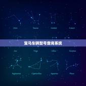 宝马车辆型号查询系统，宝马车辆型号查询系统官网