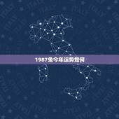 1987兔今年运势如何(根据兔年的生肖运势预测)