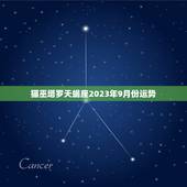 猫巫塔罗天蝎座2023年9月份运势