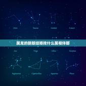 属龙的新郎结婚找什么属相伴郎，属蛇的新娘，属龙的新郎应选什么属相的伴郎