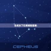 壬戍女丁巳男婚配因果，壬申年癸丑月庚戌日丙戌时，男命.把时辰提前一点.