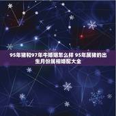 95年猪和97年牛婚姻怎么样 95年属猪的出生月份属相婚配大全