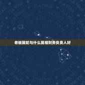 老板属蛇与什么属相财务负责人好，属鸡的找什么属相人合伙做生意最好