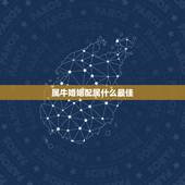 属牛婚姻配属什么最佳，属牛男的和什么属相最配