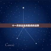 十一月份出生的属虎的运势，属猪十一月份的运势如何